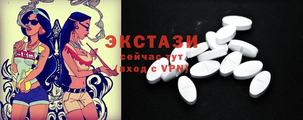 шишки Ельня
