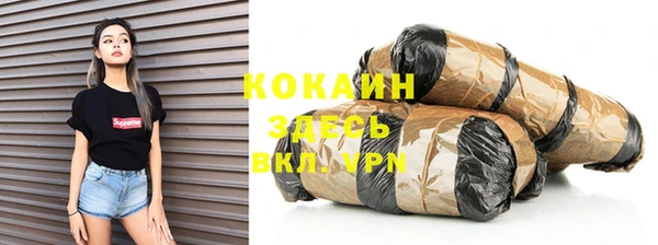 шишки Ельня