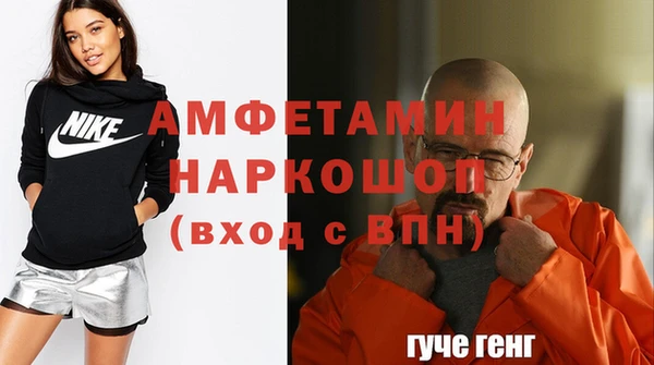 шишки Ельня