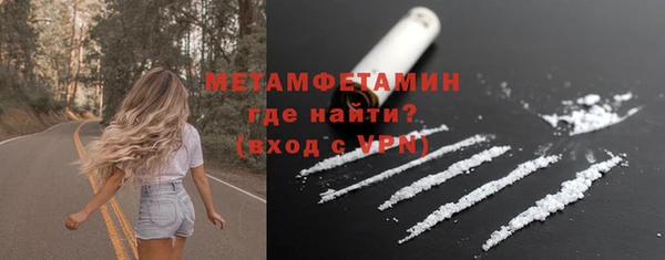 шишки Ельня