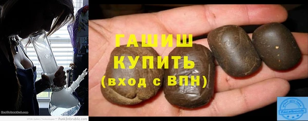 шишки Ельня