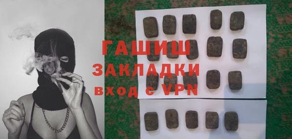 шишки Ельня