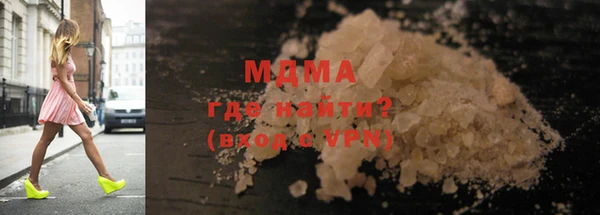 шишки Ельня