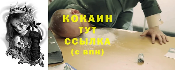 ГАЛЛЮЦИНОГЕННЫЕ ГРИБЫ Елабуга