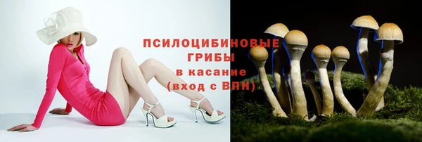 шишки Ельня