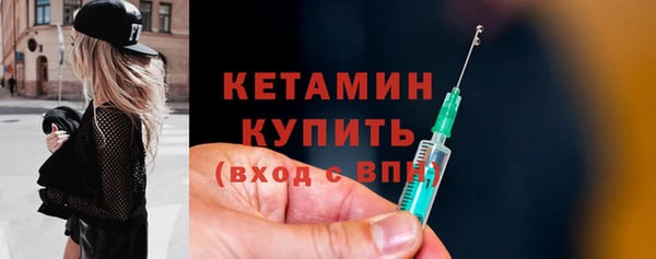 шишки Ельня