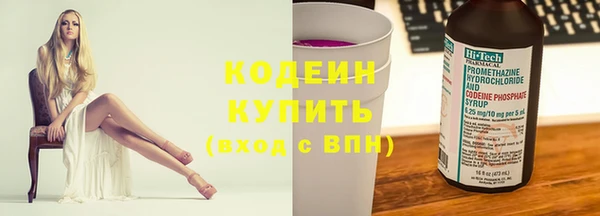 шишки Ельня