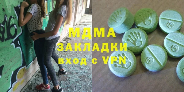 шишки Ельня