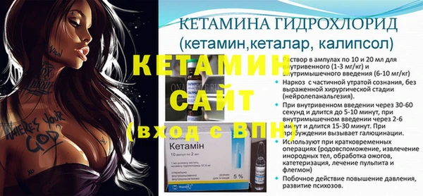 шишки Ельня