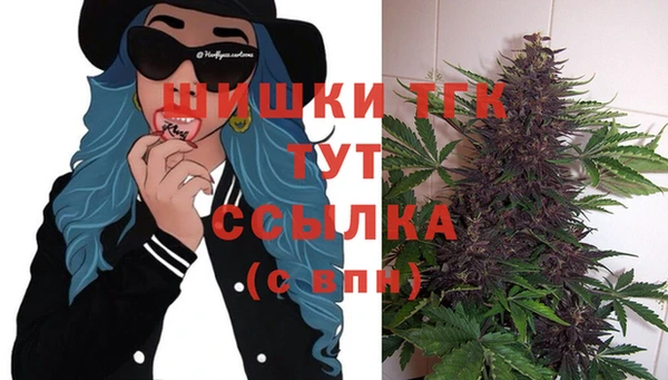 шишки Ельня