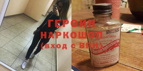 шишки Ельня