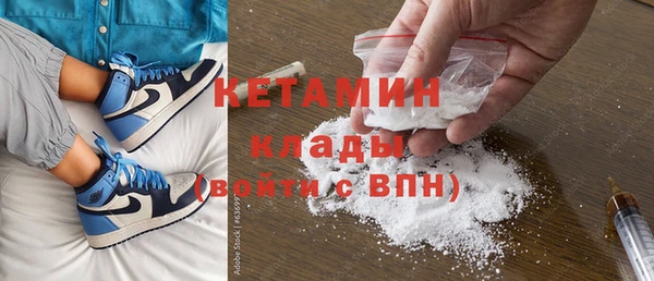 шишки Ельня