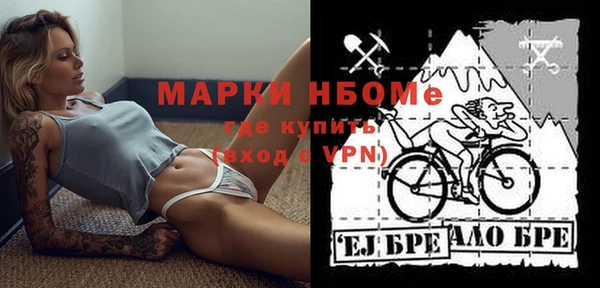 шишки Ельня