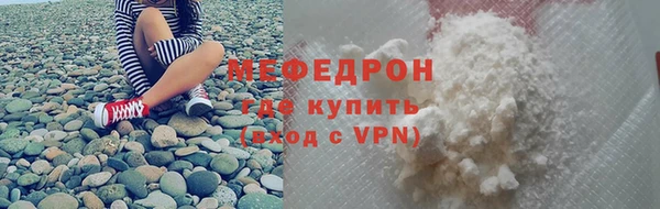 шишки Ельня