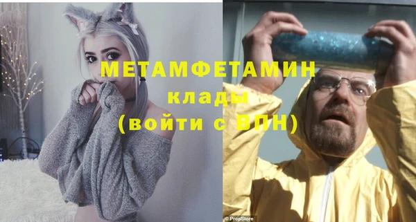 шишки Ельня