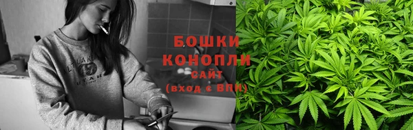 ГАЛЛЮЦИНОГЕННЫЕ ГРИБЫ Елабуга