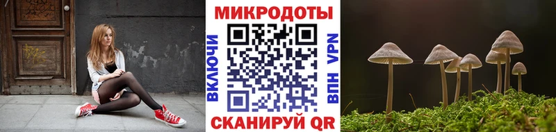 Псилоцибиновые грибы Cubensis  Купить  Валуйки 